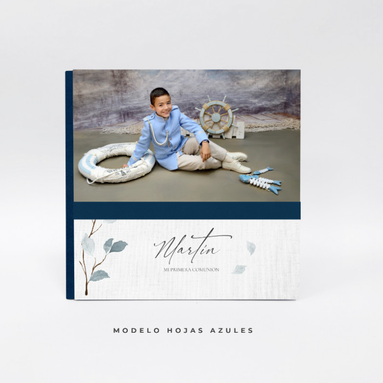 Album Colección Chic