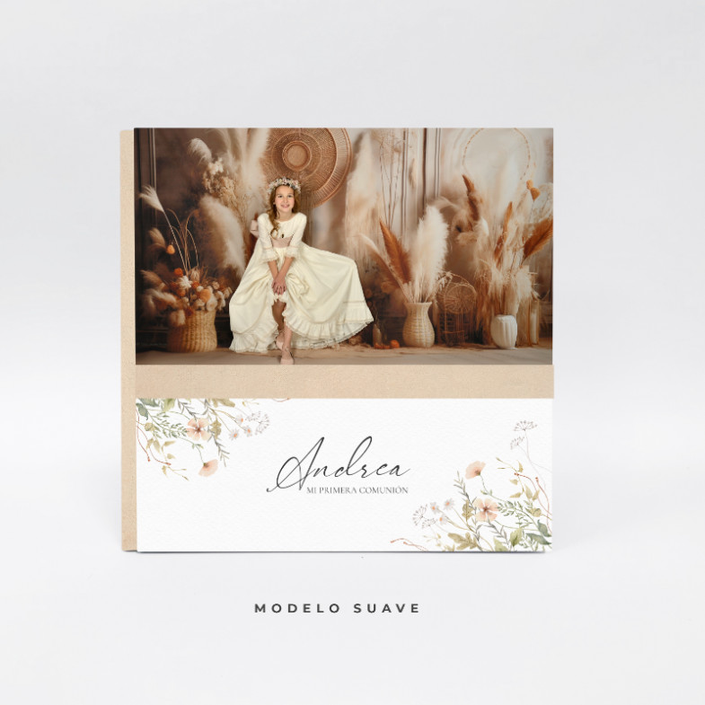 Album Colección Chic