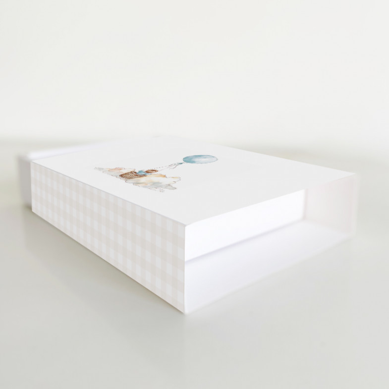 Caja de Cartón Fajín 12 copias