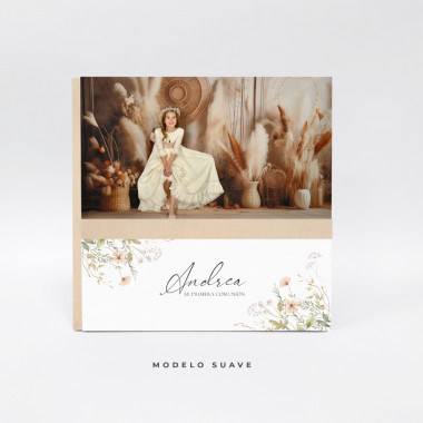 Album Colección Chic